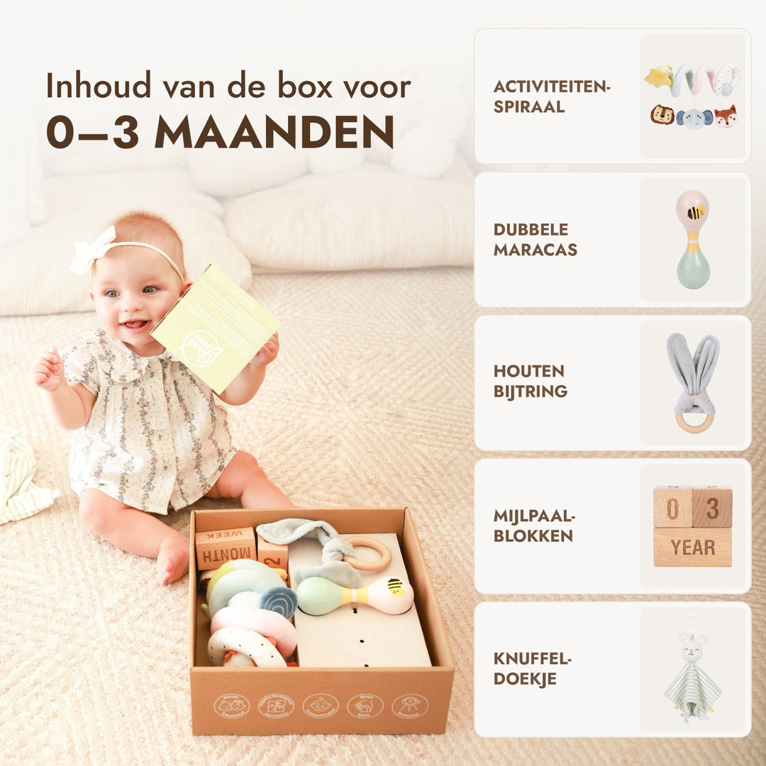 BabyBox – Spielsets für das erste Lebensjahr (0–12 Monate) - Goodevas DE