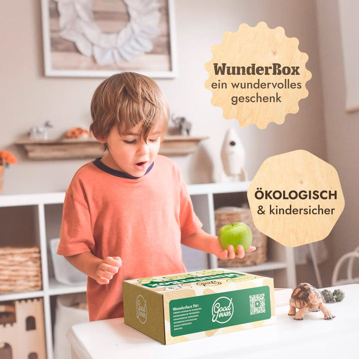 WunderBox 1 - 3 Jahre - Entwicklungsboxen für die Kleinsten - Goodevas Deutschland